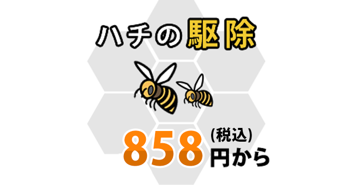 ハチ駆除980円～